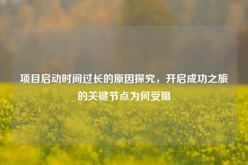 项目启动时间过长的原因探究，开启成功之旅的关键节点为何受阻