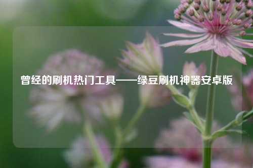 曾经的刷机热门工具——绿豆刷机神器安卓版