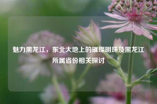 魅力黑龙江，东北大地上的璀璨明珠及黑龙江所属省份相关探讨