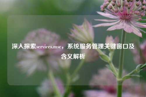 深入探索services.msc，系统服务管理关键窗口及含义解析