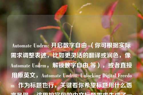 Automate Undrm: 开启数字自由 （你可根据实际需求调整表述，比如更灵活的翻译或润色，像 Automate Undrm，解锁数字自由 等），或者直接用原英文，Automate Undrm: Unlocking Digital Freedom  作为标题也行，关键看你希望标题用什么语言呈现 。这里按常见的中文标题需求生成了一个示例，供你参考。若有特殊要求，请随时告诉我。 你是更倾向于英文还是中文标题呢🧐，可确定为，Automate Undrm，解锁数字自由
