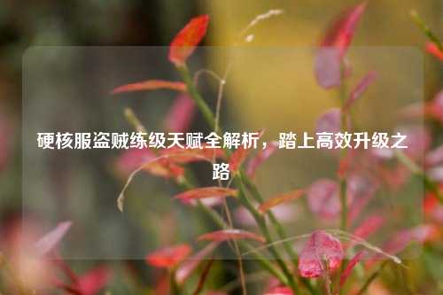 硬核服盗贼练级天赋全解析，踏上高效升级之路
