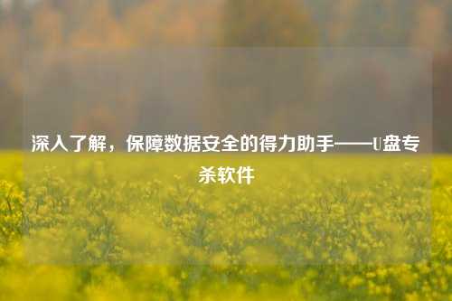 深入了解，保障数据安全的得力助手——U盘专杀软件