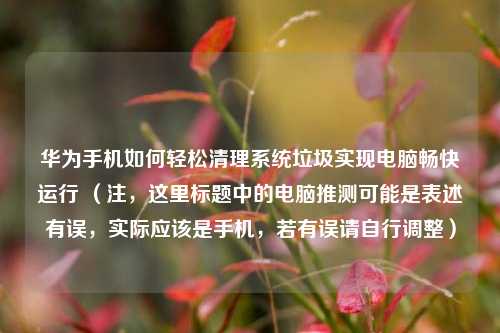 华为手机如何轻松清理系统垃圾实现电脑畅快运行 （注，这里标题中的电脑推测可能是表述有误，实际应该是手机，若有误请自行调整）