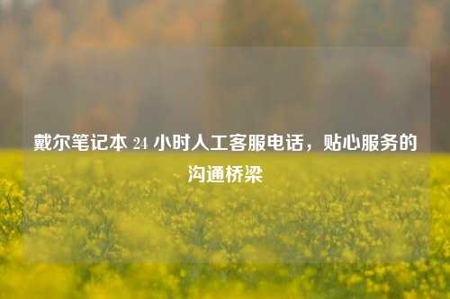 戴尔笔记本 24 小时人工客服电话，贴心服务的沟通桥梁