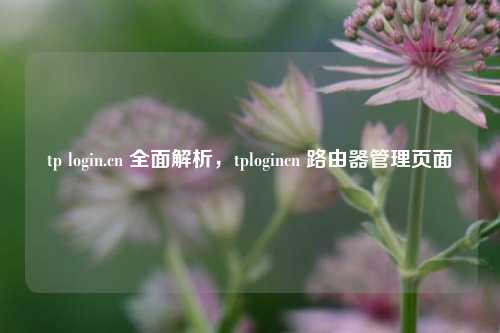tp login.cn 全面解析，tplogincn 路由器管理页面