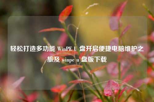 轻松打造多功能 WinPE U 盘开启便捷电脑维护之旅及 winpe u 盘版下载