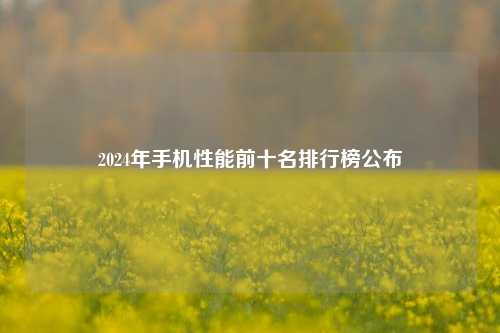 2024年手机性能前十名排行榜公布
