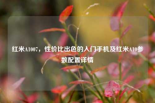 红米A1007，性价比出色的入门手机及红米A10参数配置详情