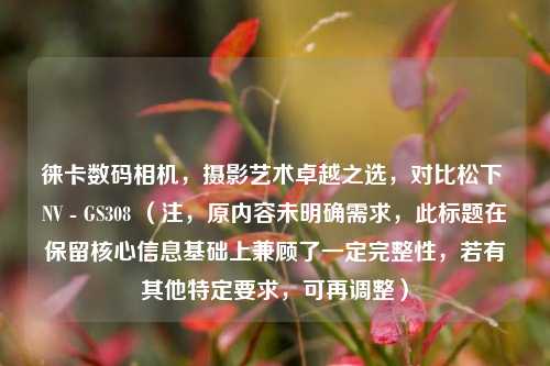 徕卡数码相机，摄影艺术卓越之选，对比松下 NV - GS308 （注，原内容未明确需求，此标题在保留核心信息基础上兼顾了一定完整性，若有其他特定要求，可再调整）