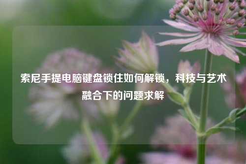 索尼手提电脑键盘锁住如何解锁，科技与艺术融合下的问题求解
