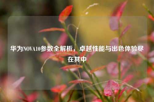 华为NOVA10参数全解析，卓越性能与出色体验尽在其中