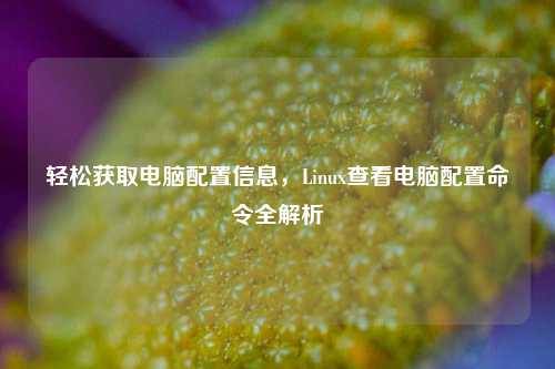 轻松获取电脑配置信息，Linux查看电脑配置命令全解析