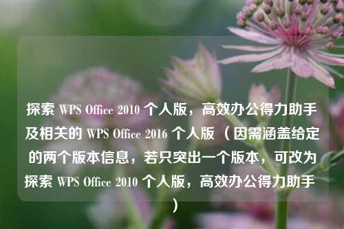 探索 WPS Office 2010 个人版，高效办公得力助手及相关的 WPS Office 2016 个人版 （因需涵盖给定的两个版本信息，若只突出一个版本，可改为探索 WPS Office 2010 个人版，高效办公得力助手 ）