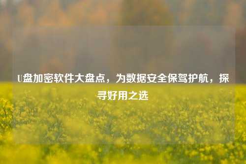 U盘加密软件大盘点,为数据安全保驾护航,探寻好用之选