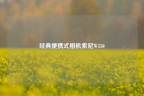 经典便携式相机索尼W350