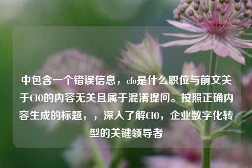 中包含一个错误信息，cfo是什么职位与前文关于CIO的内容无关且属于混淆提问。按照正确内容生成的标题，，深入了解CIO，企业数字化转型的关键领导者