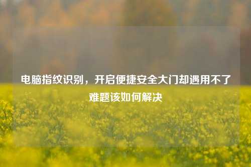 电脑指纹识别，开启便捷安全大门却遇用不了难题该如何解决