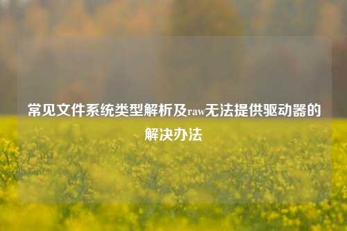 常见文件系统类型解析及raw无法提供驱动器的解决办法
