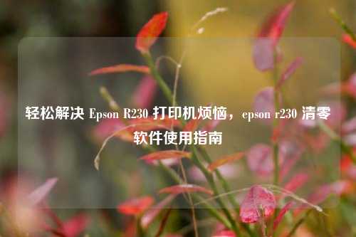 轻松解决 Epson R230 打印机烦恼,epson r230 清零软件使用指南