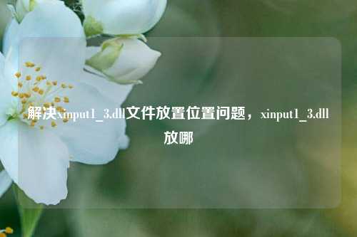 解决xinput1_3.dll文件放置位置问题，xinput1_3.dll放哪