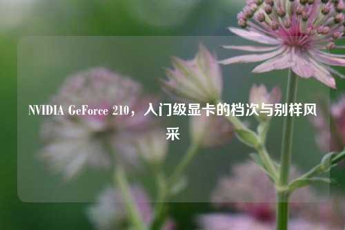 NVIDIA GeForce 210，入门级显卡的档次与别样风采