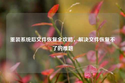 重装系统后文件恢复全攻略，解决文件恢复不了的难题