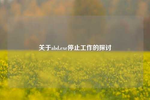 关于abd.exe停止工作的探讨