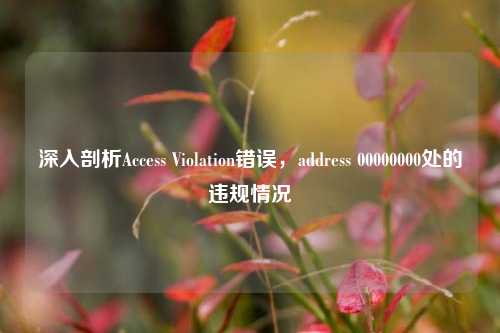 深入剖析Access Violation错误，address 00000000处的违规情况