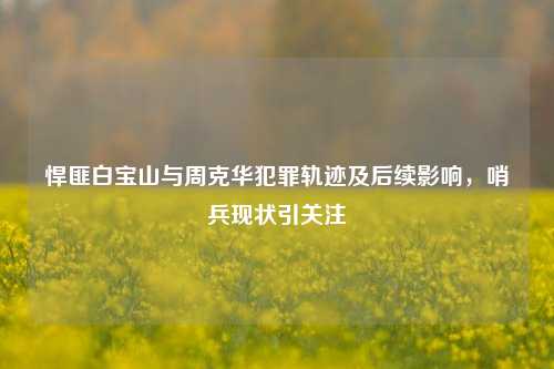 悍匪白宝山与周克华犯罪轨迹及后续影响，哨兵现状引关注