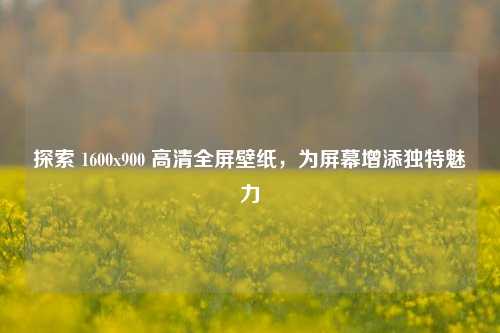 探索 1600x900 高清全屏壁纸，为屏幕增添独特魅力