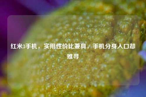 红米3手机，实用性价比兼具，手机分身入口却难寻