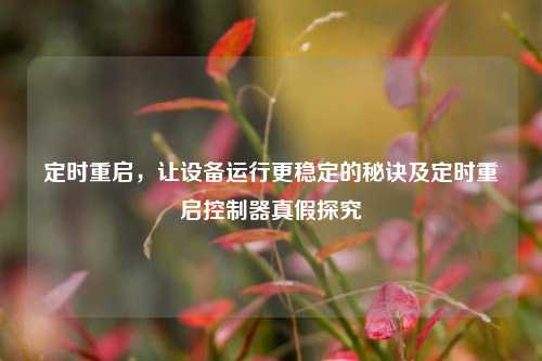 定时重启，让设备运行更稳定的秘诀及定时重启控制器真假探究