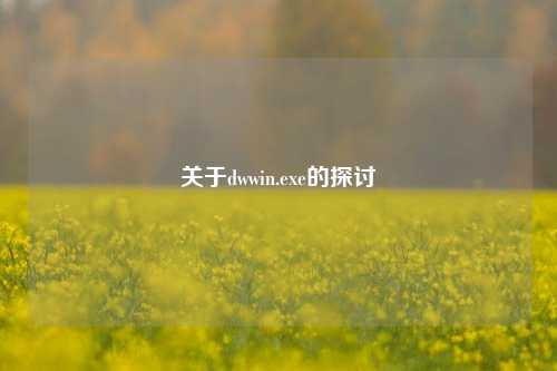 关于dwwin.exe的探讨