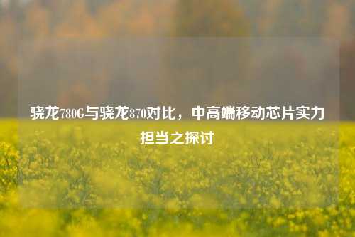骁龙780G与骁龙870对比,中高端移动芯片实力担当之探讨