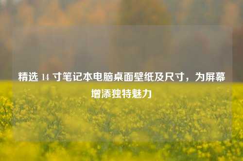 精选 14 寸笔记本电脑桌面壁纸及尺寸，为屏幕增添独特魅力