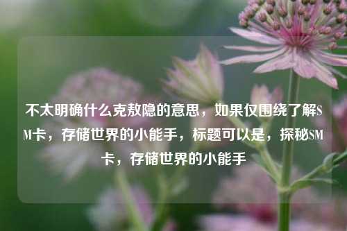 不太明确什么克敖隐的意思，如果仅围绕了解SM卡，存储世界的小能手，标题可以是，探秘SM卡，存储世界的小能手
