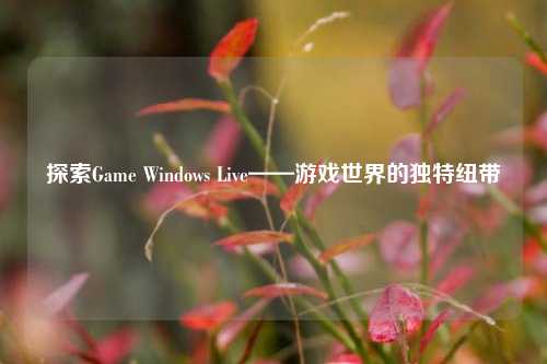 探索Game Windows Live——游戏世界的独特纽带