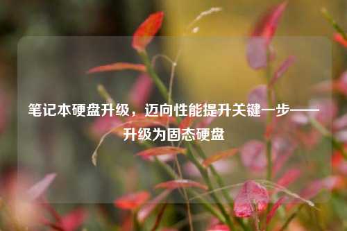 笔记本硬盘升级，迈向性能提升关键一步——升级为固态硬盘