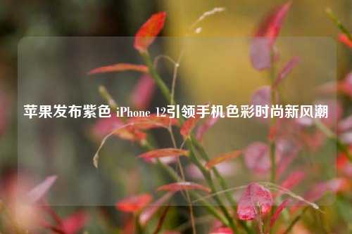 苹果发布紫色 iPhone 12引领手机色彩时尚新风潮
