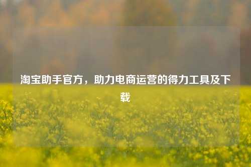 淘宝助手官方，助力电商运营的得力工具及下载