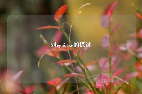 对egui.exe的探讨