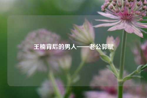 王楠背后的男人——老公郭斌