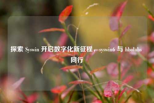 探索 Syswin 开启数字化新征程，syswin6 与 hbolabs 同行