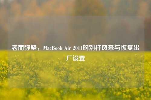 老而弥坚，MacBook Air 2011的别样风采与恢复出厂设置