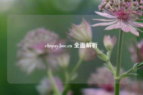 ebspay.boc.cn 全面解析