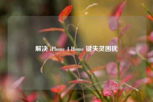 解决 iPhone 4 Home 键失灵困扰