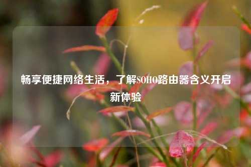 畅享便捷网络生活,了解SOHO路由器含义开启新体验