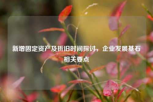 新增固定资产及折旧时间探讨，企业发展基石相关要点
