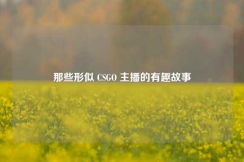 那些形似 CSGO 主播的有趣故事